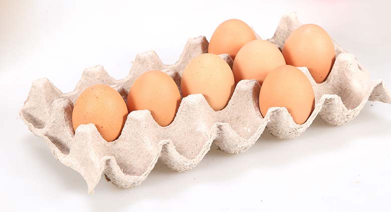 Paper egg trays manufactured with waste paper pulp