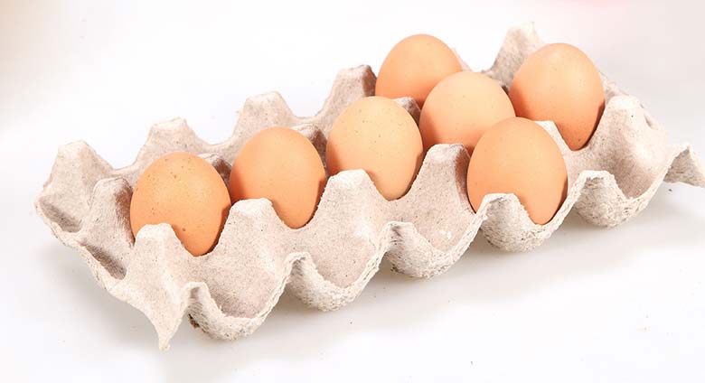 Advantages of Egg Trays  Development Prospect of Egg Tray