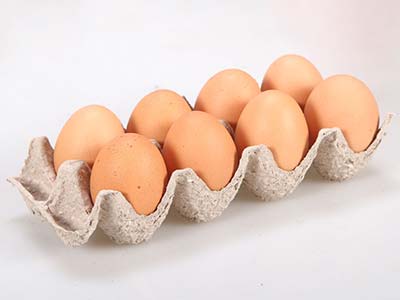 paper egg tray that holds 8 eggs
