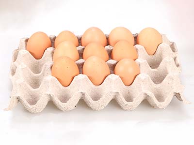 paper egg tray 20 eggs