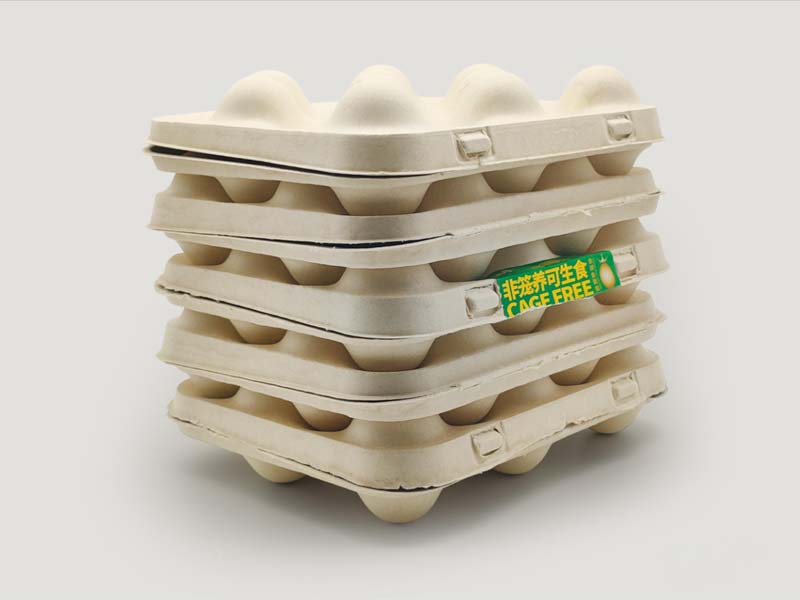 How to Choose The Right Material for Paper Egg Tray Production