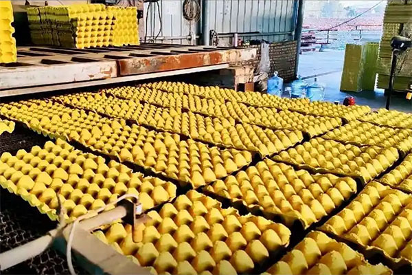 egg tray production quality control