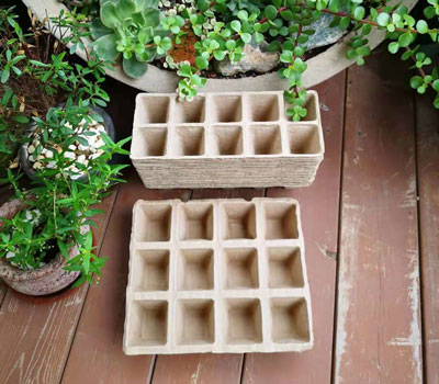 moulded pulp nursery trays