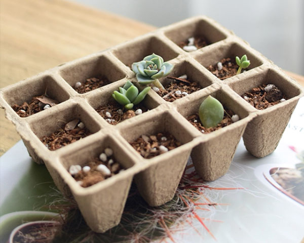 paper pulp made seedling tray