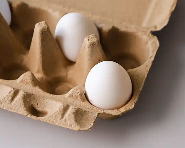 paper egg tray