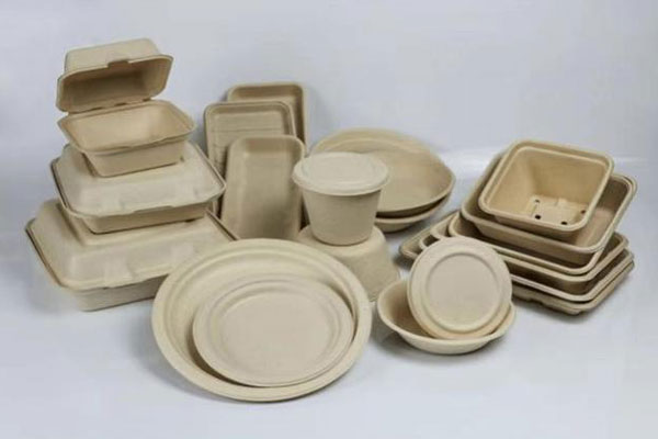 paper pulp food packaging containers